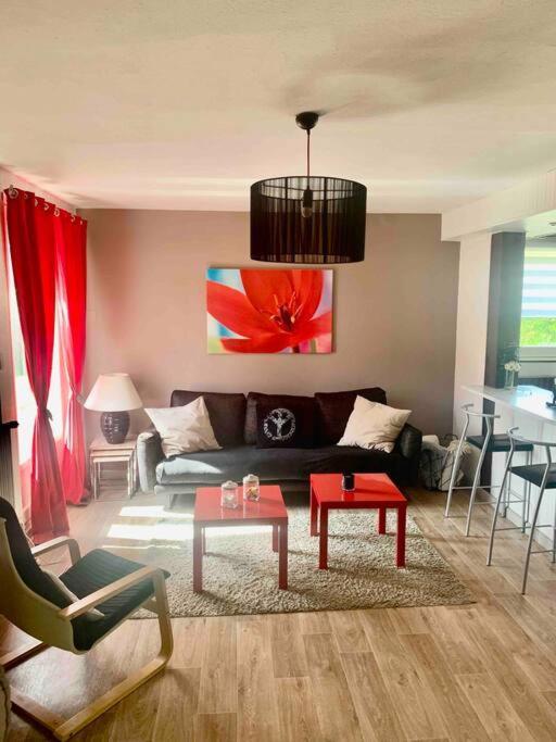 Villa 3 Chambres Parking Et Terrasse Plaisance-du-Touch Exteriér fotografie